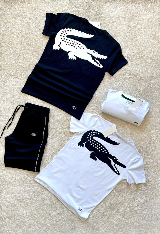 Conjunto Lacoste