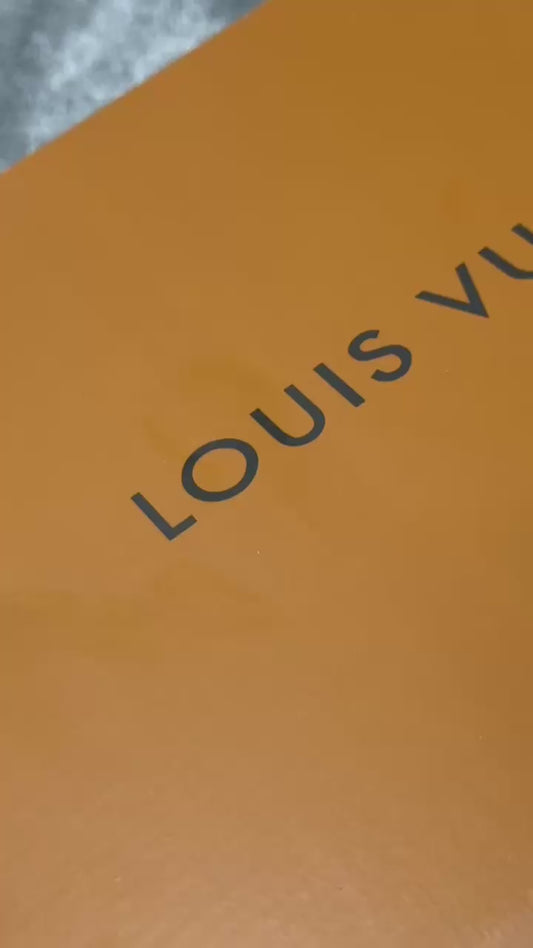 Louis Vuitton Skate